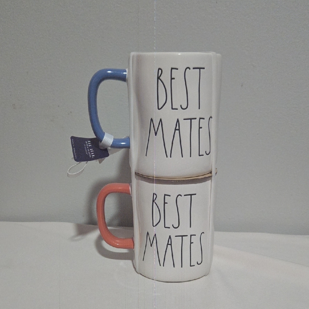 Rae Dunn Harry Potter Best Mates Mug Set with Blue and Orange Handles